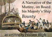 A&nbsp;Narrative of the Mutiny ebook